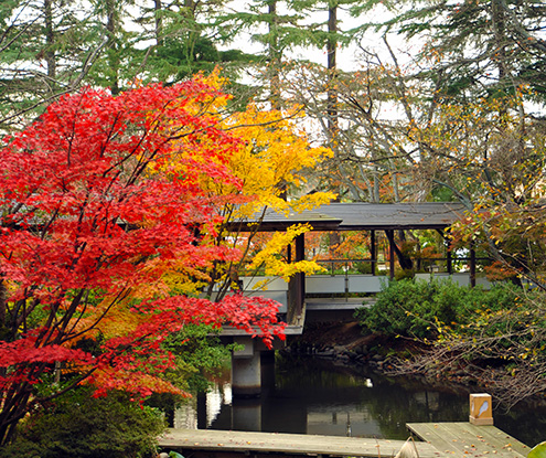 松泉湖庭園 イメージ