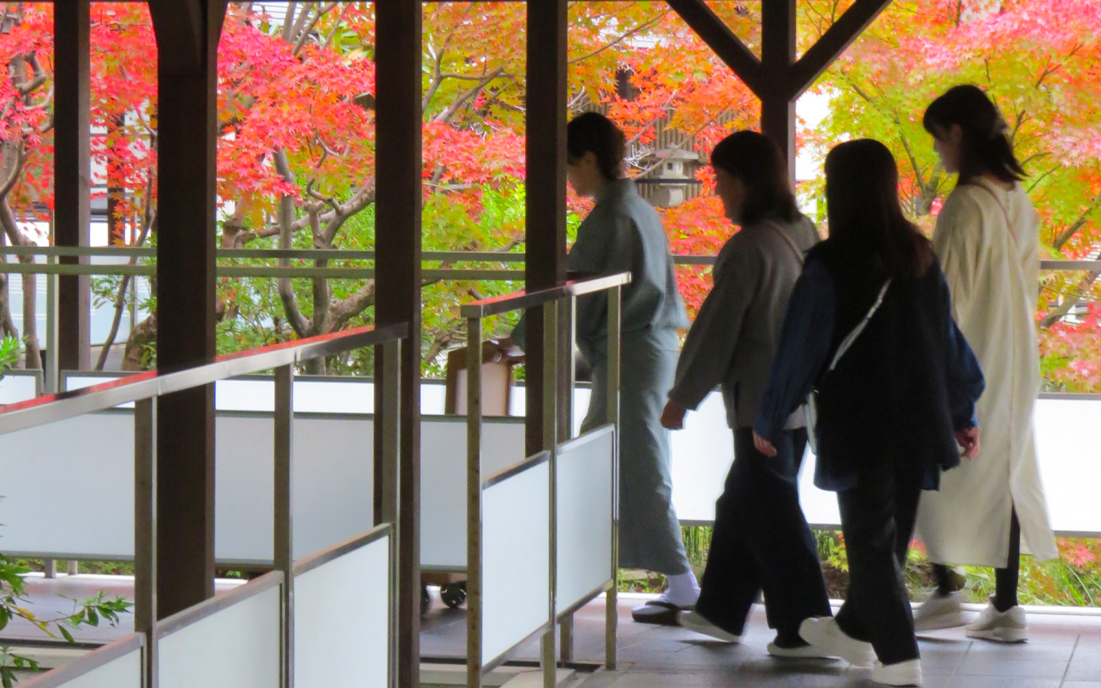 「秋」庭園の紅葉2