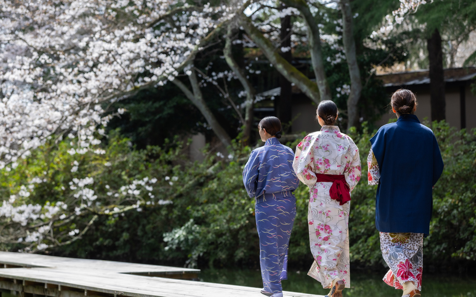 「春」庭園桜